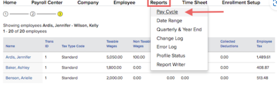 A screenshot of a report  Description automatically generated